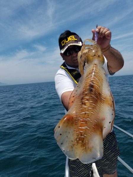 ソルトウォーターガイドフレンズ 釣果