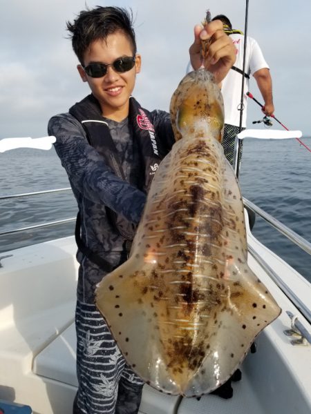 ソルトウォーターガイドフレンズ 釣果