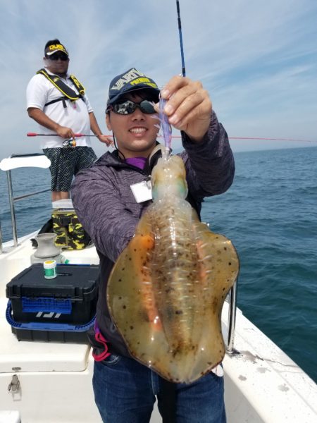 ソルトウォーターガイドフレンズ 釣果