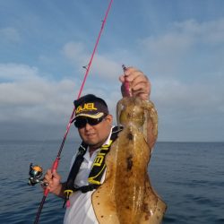 ソルトウォーターガイドフレンズ 釣果