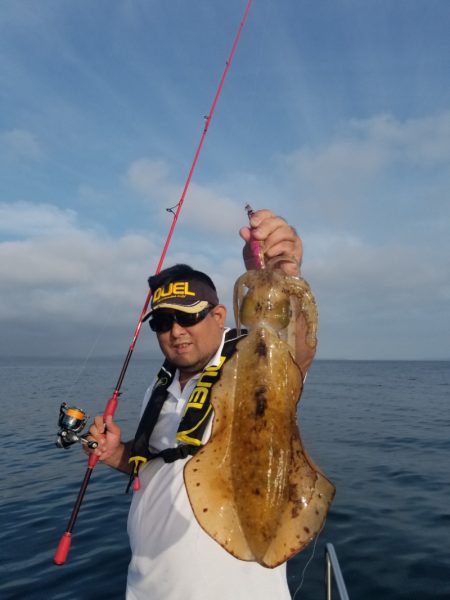 ソルトウォーターガイドフレンズ 釣果