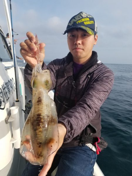 ソルトウォーターガイドフレンズ 釣果