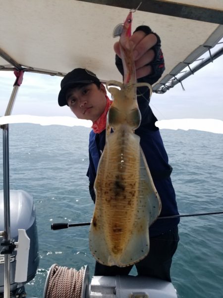 ソルトウォーターガイドフレンズ 釣果