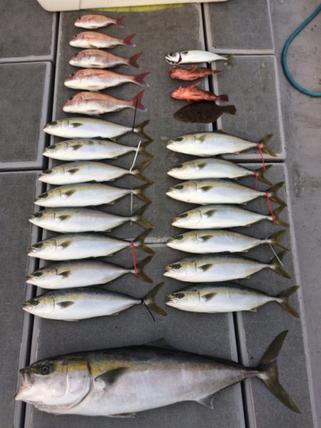 SeaRide(シーライド) 釣果