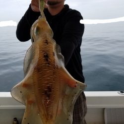 ソルトウォーターガイドフレンズ 釣果