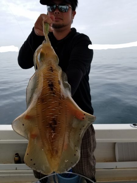 ソルトウォーターガイドフレンズ 釣果