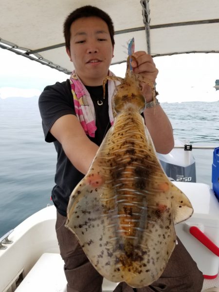 ソルトウォーターガイドフレンズ 釣果