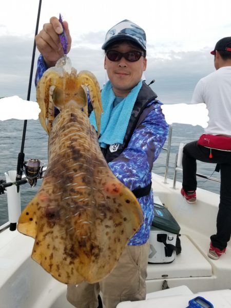 ソルトウォーターガイドフレンズ 釣果