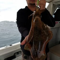 ソルトウォーターガイドフレンズ 釣果