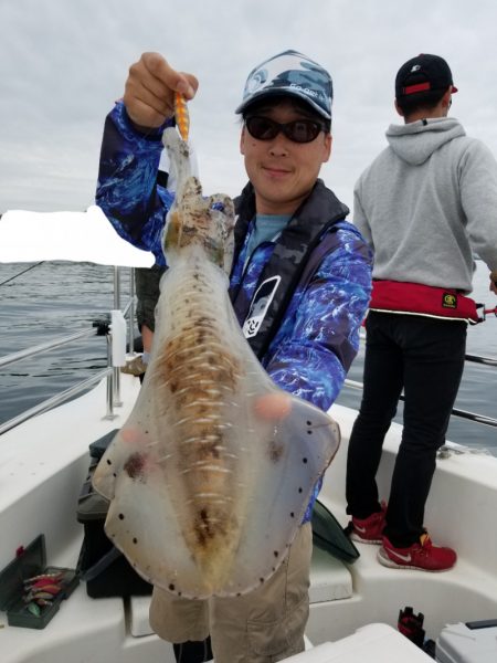 ソルトウォーターガイドフレンズ 釣果