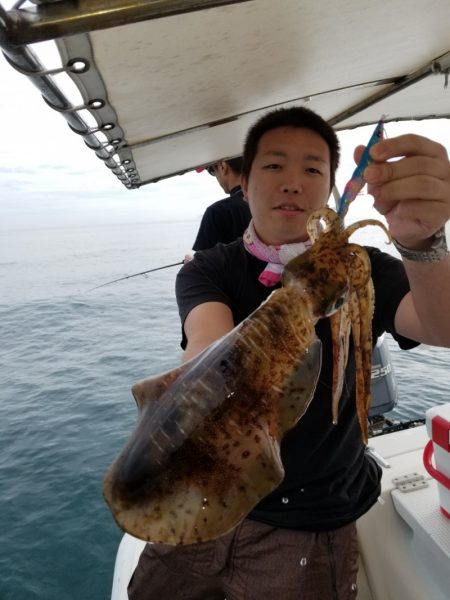 ソルトウォーターガイドフレンズ 釣果