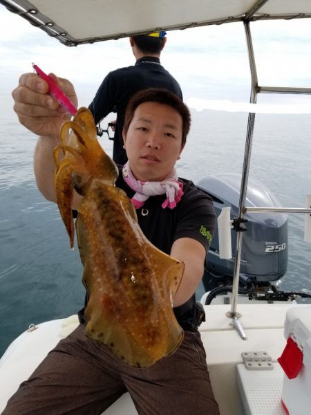 ソルトウォーターガイドフレンズ 釣果