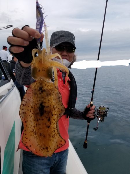 ソルトウォーターガイドフレンズ 釣果