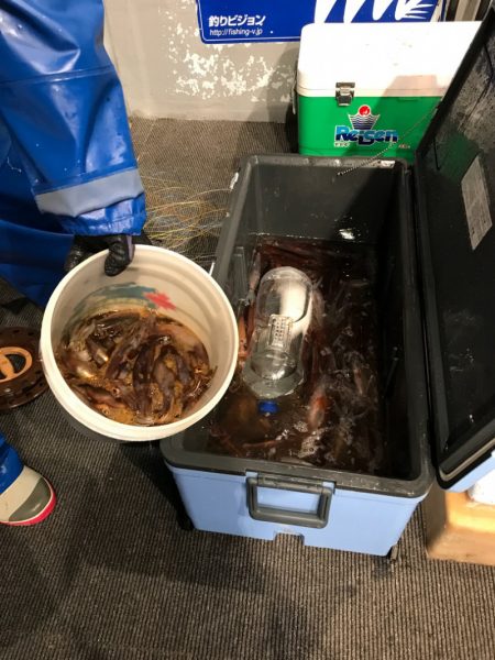 シーランチ 釣果