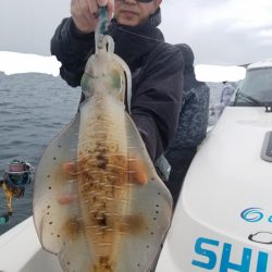 ソルトウォーターガイドフレンズ 釣果