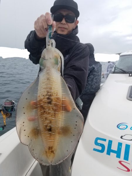 ソルトウォーターガイドフレンズ 釣果