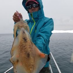 ソルトウォーターガイドフレンズ 釣果