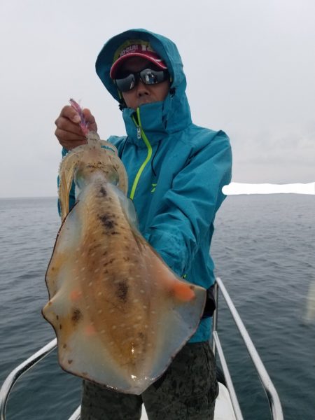 ソルトウォーターガイドフレンズ 釣果