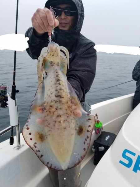 ソルトウォーターガイドフレンズ 釣果