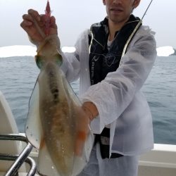 ソルトウォーターガイドフレンズ 釣果