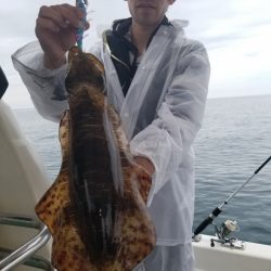 ソルトウォーターガイドフレンズ 釣果