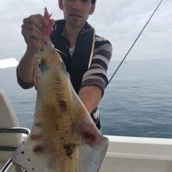 ソルトウォーターガイドフレンズ 釣果