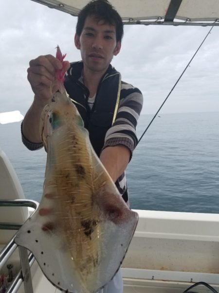 ソルトウォーターガイドフレンズ 釣果