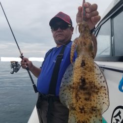 ソルトウォーターガイドフレンズ 釣果