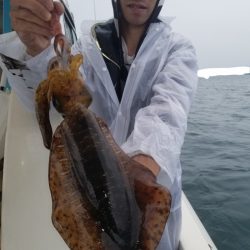 ソルトウォーターガイドフレンズ 釣果