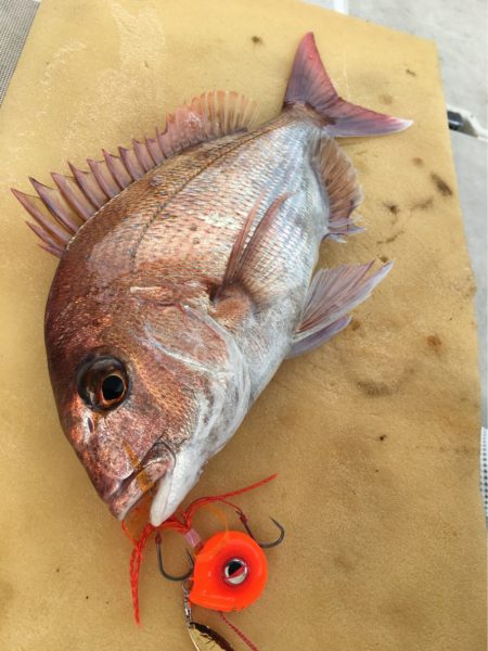 末広丸(熊本) 釣果