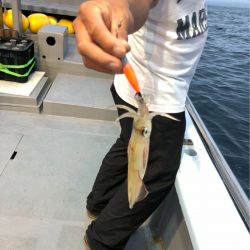 ＴＡＲＯＭＡＲＵ 釣果