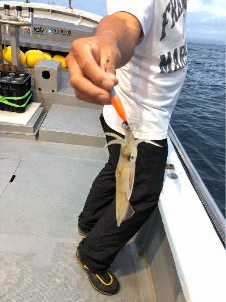 ＴＡＲＯＭＡＲＵ 釣果