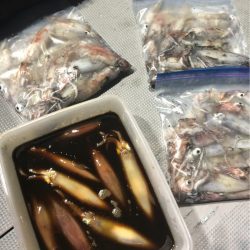 ＴＡＲＯＭＡＲＵ 釣果