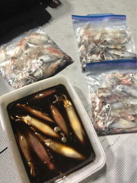 ＴＡＲＯＭＡＲＵ 釣果