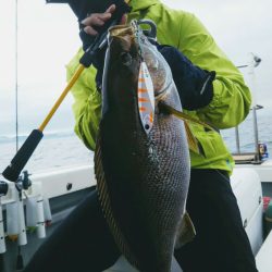光生丸 釣果