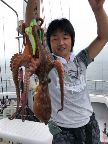 ビッグファイター 釣果