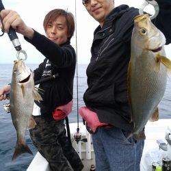 bay style 釣果