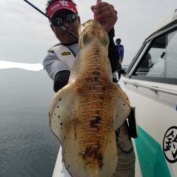 ソルトウォーターガイドフレンズ 釣果