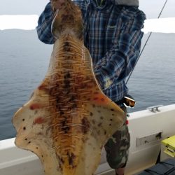 ソルトウォーターガイドフレンズ 釣果