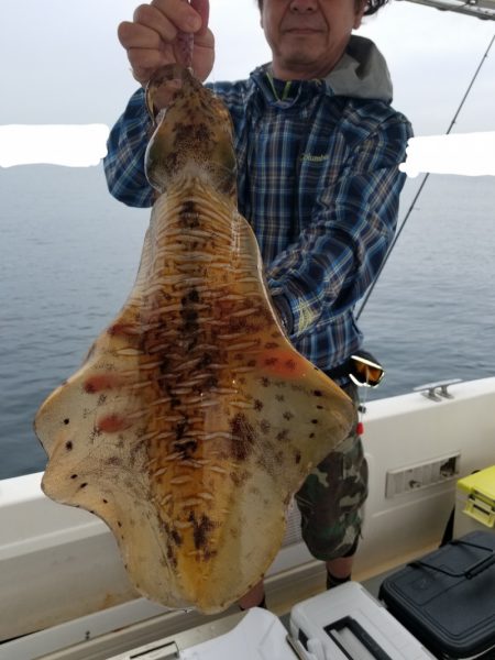 ソルトウォーターガイドフレンズ 釣果