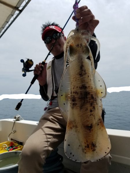 ソルトウォーターガイドフレンズ 釣果