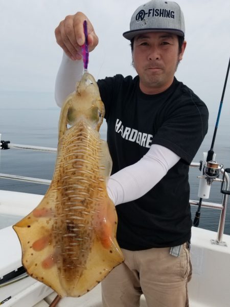 ソルトウォーターガイドフレンズ 釣果