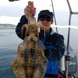 ソルトウォーターガイドフレンズ 釣果