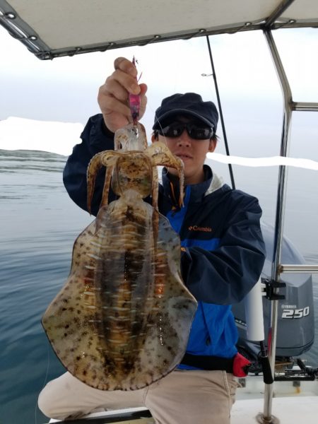 ソルトウォーターガイドフレンズ 釣果