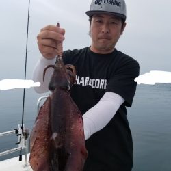 ソルトウォーターガイドフレンズ 釣果