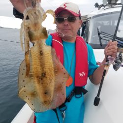 ソルトウォーターガイドフレンズ 釣果