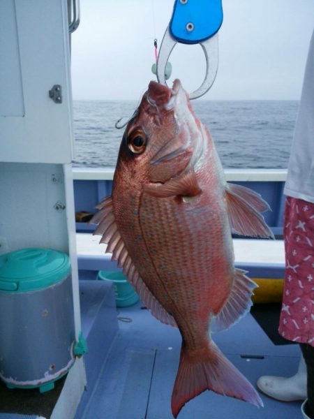 新幸丸 釣果