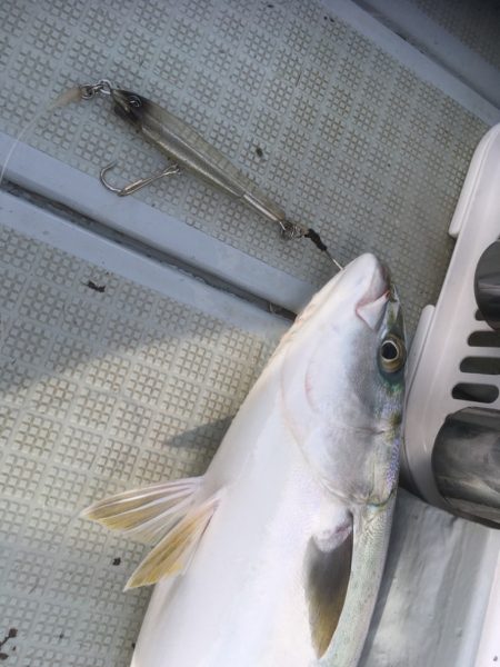 エムズジャーク（M's JERK…