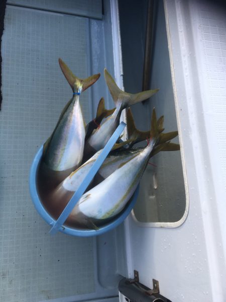 エムズジャーク（M’s JERK） 釣果