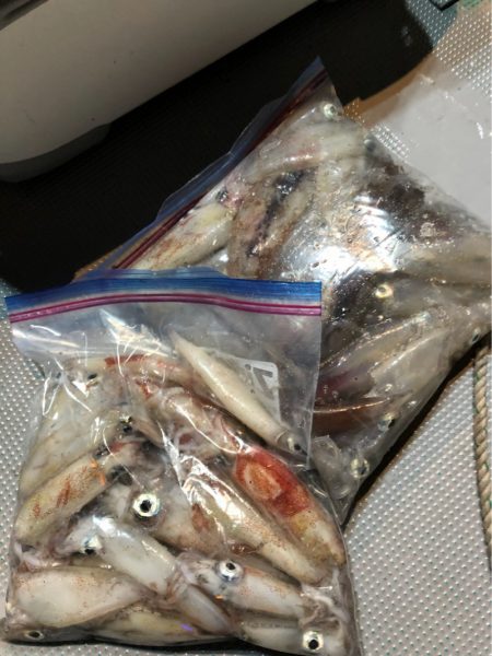 ＴＡＲＯＭＡＲＵ 釣果